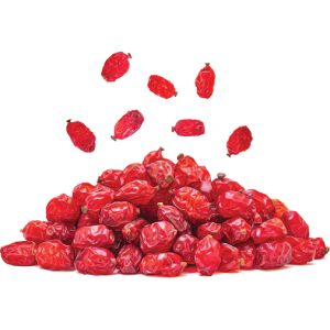 خرید نهال زرشک بومی