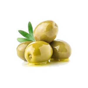 خرید نهال زیتون سبز