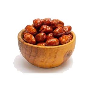 خرید نهال سنجد ایرانی