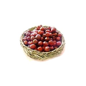 خرید نهال عناب قزوینی