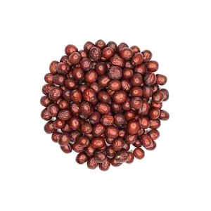 خرید نهال عناب چینی
