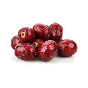 خرید نهال عناب گردویی
