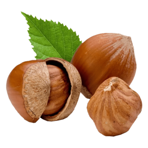 خرید نهال فندق درختی