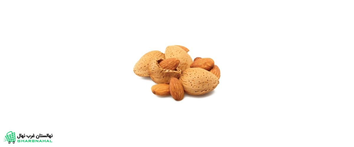 خواص بادام برای موی سر