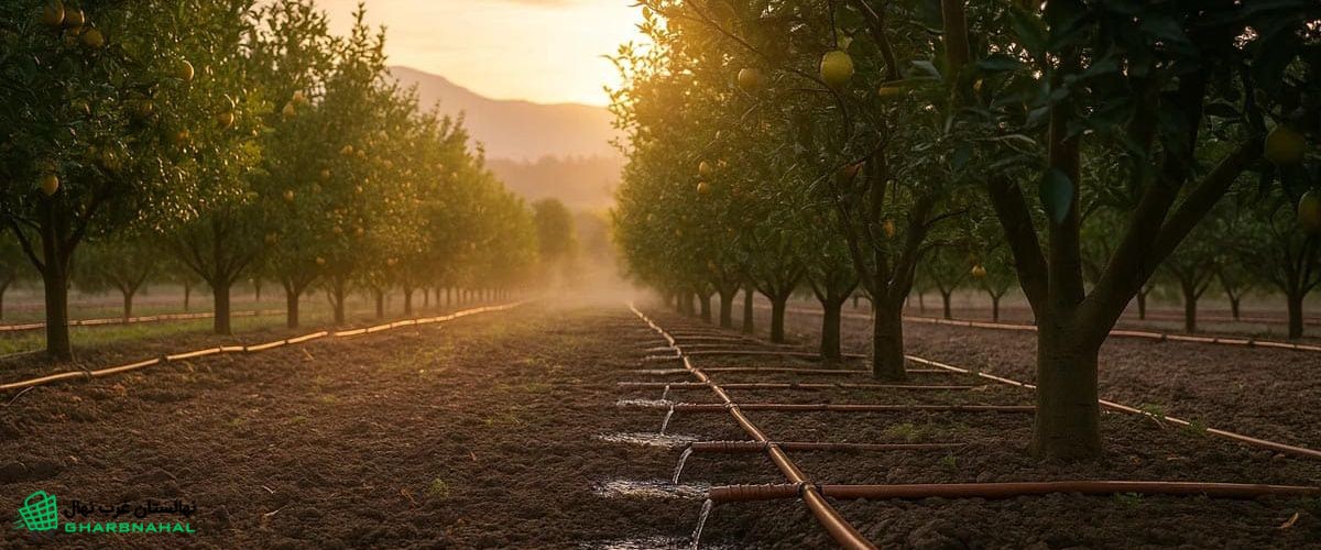بهترین روش‌های آبیاری باغات (آبیاری قطره‌ای، غرقابی و...)