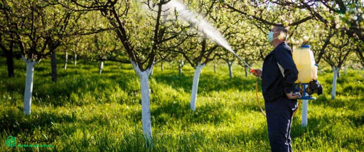محلول پاشی درختان میوه برای بهبود رشد و باردهی