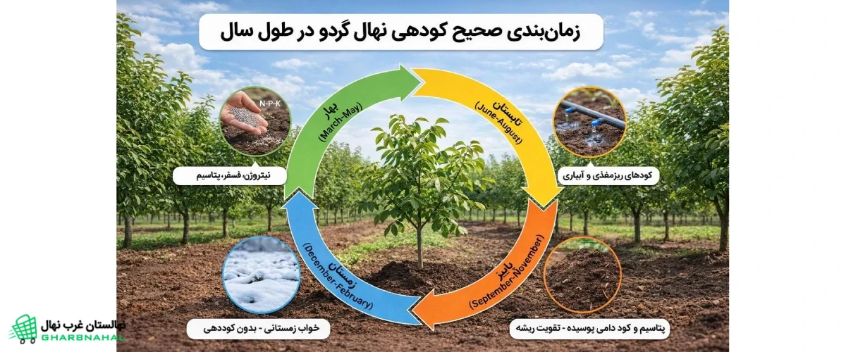 زمان‌بندی صحیح کوددهی نهال (درخت) گردو در طول سال🌳