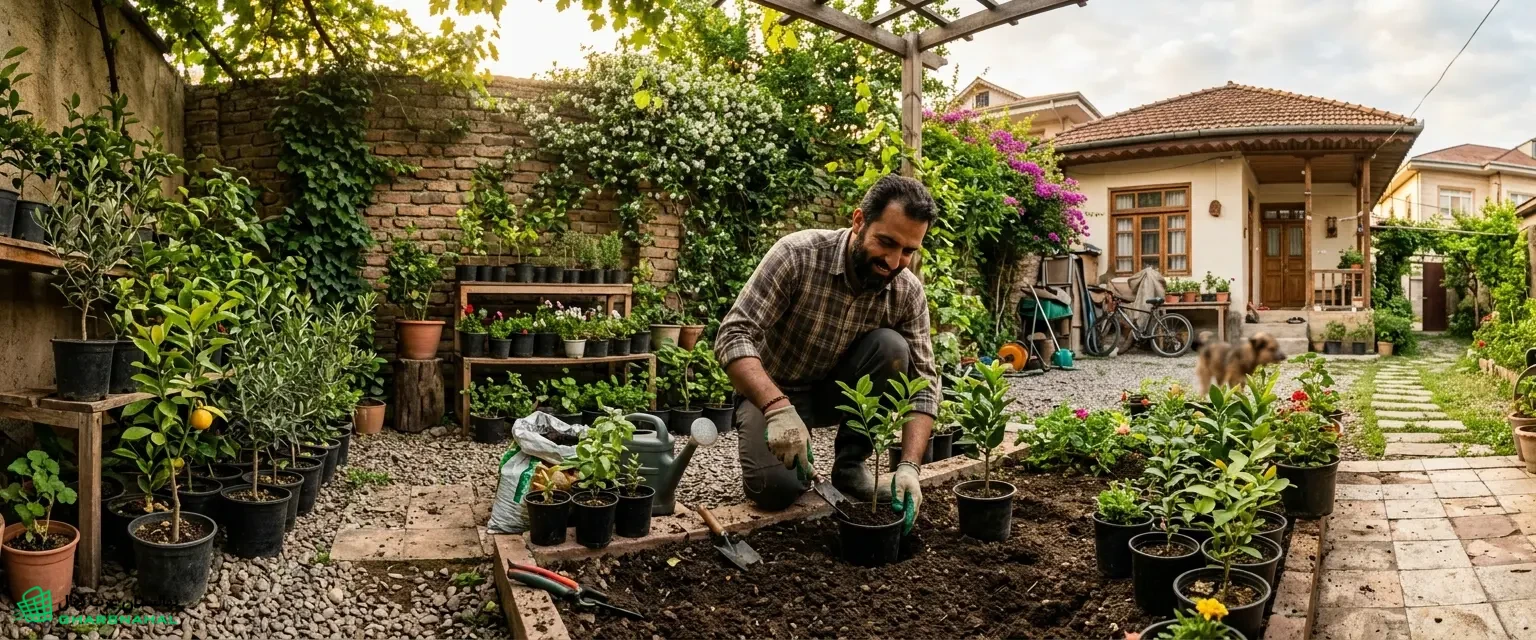 🌿 ساخت درآمد خوب با شروع از یک حیاط کوچک با این نهال‌های گلدانی
