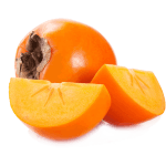 نهال خرمالو