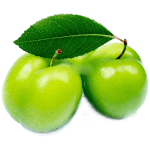 نهال گوجه سبز