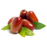 نهال عناب